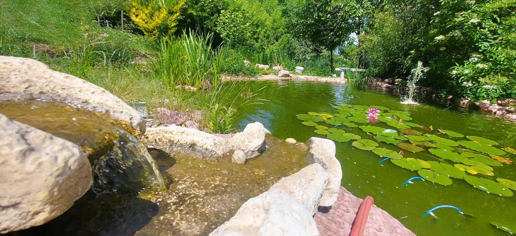 Villa VértesKacsa Vértesacsa Extérieur photo